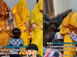 Viral Video