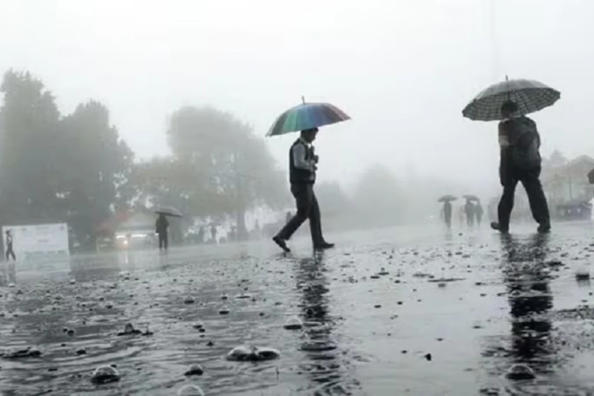 कल का मौसम 15 Feb 2025