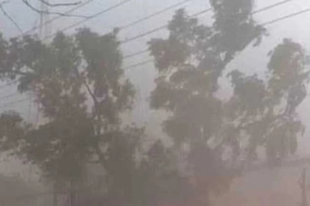 कल का मौसम 14 March 2025