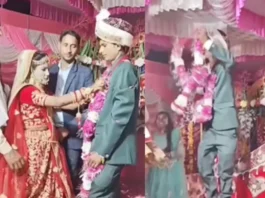 Bride Groom Viral Video