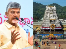 CM Chandrababu Naidu