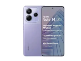Flipkart Sale