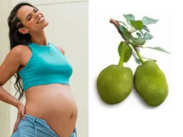 Food for Pregnant Women