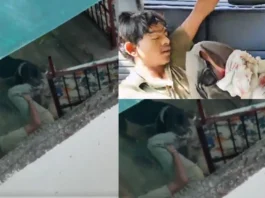 Noida Viral Video