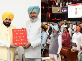 Punjab Budget 2025