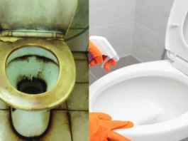 Toilet Seat Cleaning