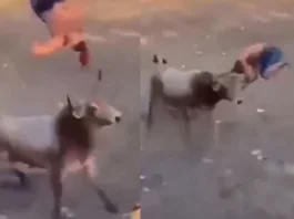 Viral Video