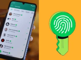 WhatsApp New Update