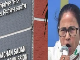 Mamta Banerjee
