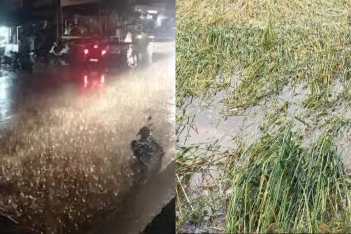 कल का मौसम 18 March 2025