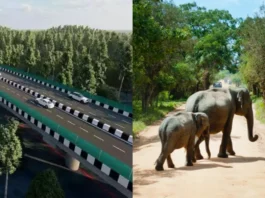 Delhi Dehradun Expressway