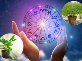 Horoscope Today, 15 April 2025