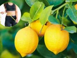 Lemon Benefits