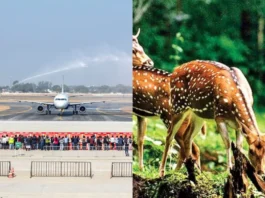 Noida International Airport