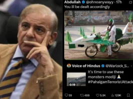Pakistani People React to War