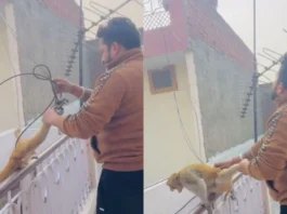 Viral Video