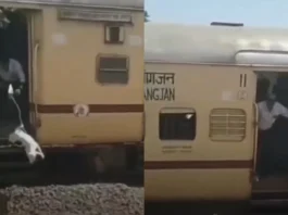 Viral Video