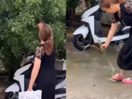 Viral Video
