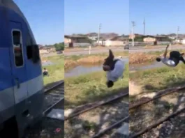 Viral Video