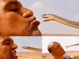 Viral Video