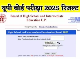 UP Board 10th 12th Result 2025 (प्रतीकात्मक तस्वीर)
