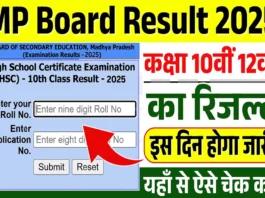 MP Board 10th 12th Result 2025 (प्रतीकात्मक तस्वीर)