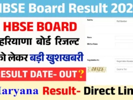 HBSE 10th 12th Result 2025 (प्रतीकात्मक तस्वीर)