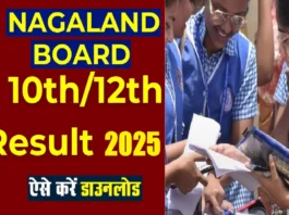 NBSE HSLC HSSLC Results 2025 (प्रतीकात्मक तस्वीर)
