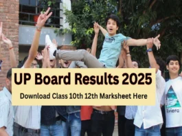 UP Board 10th 12th Result 2025 (प्रतीकात्मक तस्वीर)