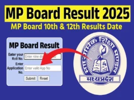 MP Board 10th 12th Result 2025 (प्रतीकात्मक तस्वीर)