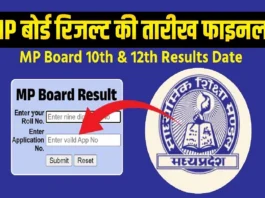MP Board 10th 12th Result 2025 (प्रतीकात्मक तस्वीर)
