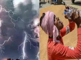 कल का मौसम 11 May 2025