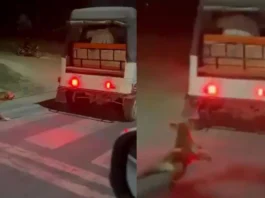 Greater Noida Viral Video