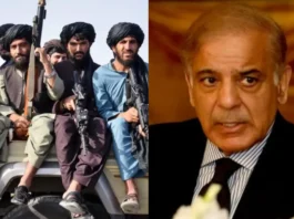 Pakistan Taliban News