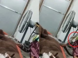 Uttarakhand Viral Video