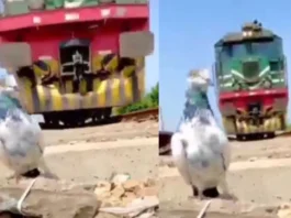 Viral Video