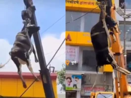 Pune Viral Video