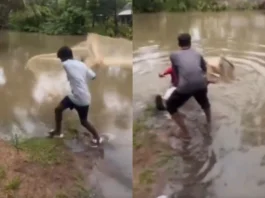 Viral Video