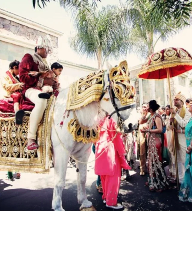 Turkey Boycott: भारतीयों के तुर्की में शादी कैंसिल करने से उसे कितना होगा आर्थिक नुकसान?