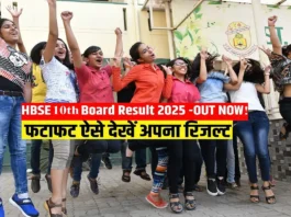 HBSE 10th Result 2025 (प्रतीकात्मक तस्वीर)