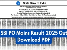 SBI PO Mains result 2025 declared (प्रतीकात्मक तस्वीर)
