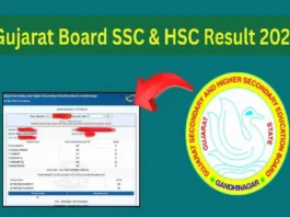 GSEB HSC SSC Result 2025 (प्रतीकात्मक तस्वीर)