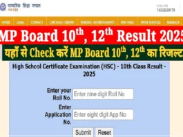 MP Board 10th 12th Result 2025 (प्रतीकात्मक तस्वीर)