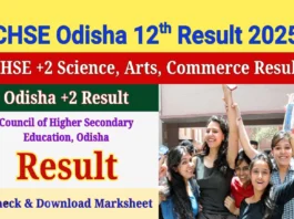 Odisha 12th Result 2025 (प्रतीकात्मक तस्वीर)