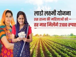 Lado Laxmi Yojana (प्रतीकात्मक तस्वीर)