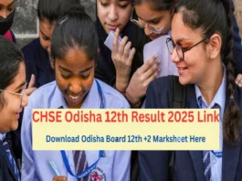 CHSE Odisha 12th Result 2025 (प्रतीकात्मक तस्वीर)
