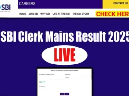 SBI Clerk Mains Result 2025 (प्रतीकात्मक तस्वीर)