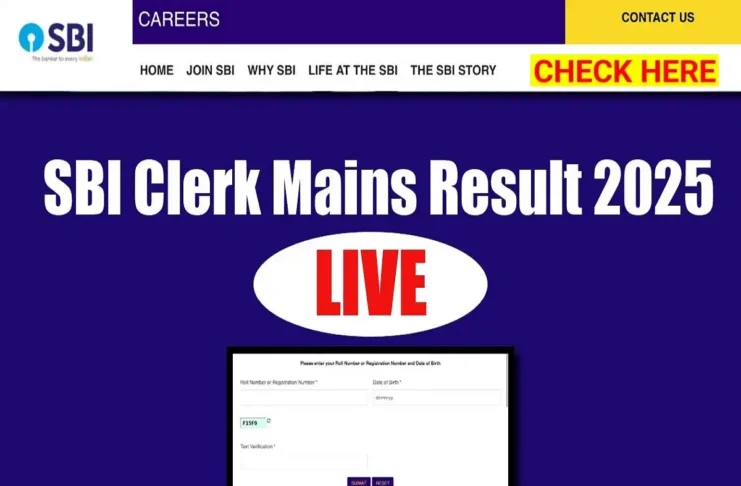 SBI Clerk Mains Result 2025 (प्रतीकात्मक तस्वीर)