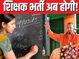 UP Teacher Vacancy 2025 (प्रतीकात्मक तस्वीर)