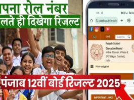 PSEB 12th Result 2025 (प्रतीकात्मक तस्वीर)